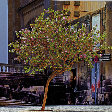 ONE DAY | LAS PALMAS No30 | Ralf Wehrle und Uwe Frank Fine - Art - Print  16,5 cm x 16,5 cm | gerahmt 30 x 30 cm  Auflage 15 | signiert